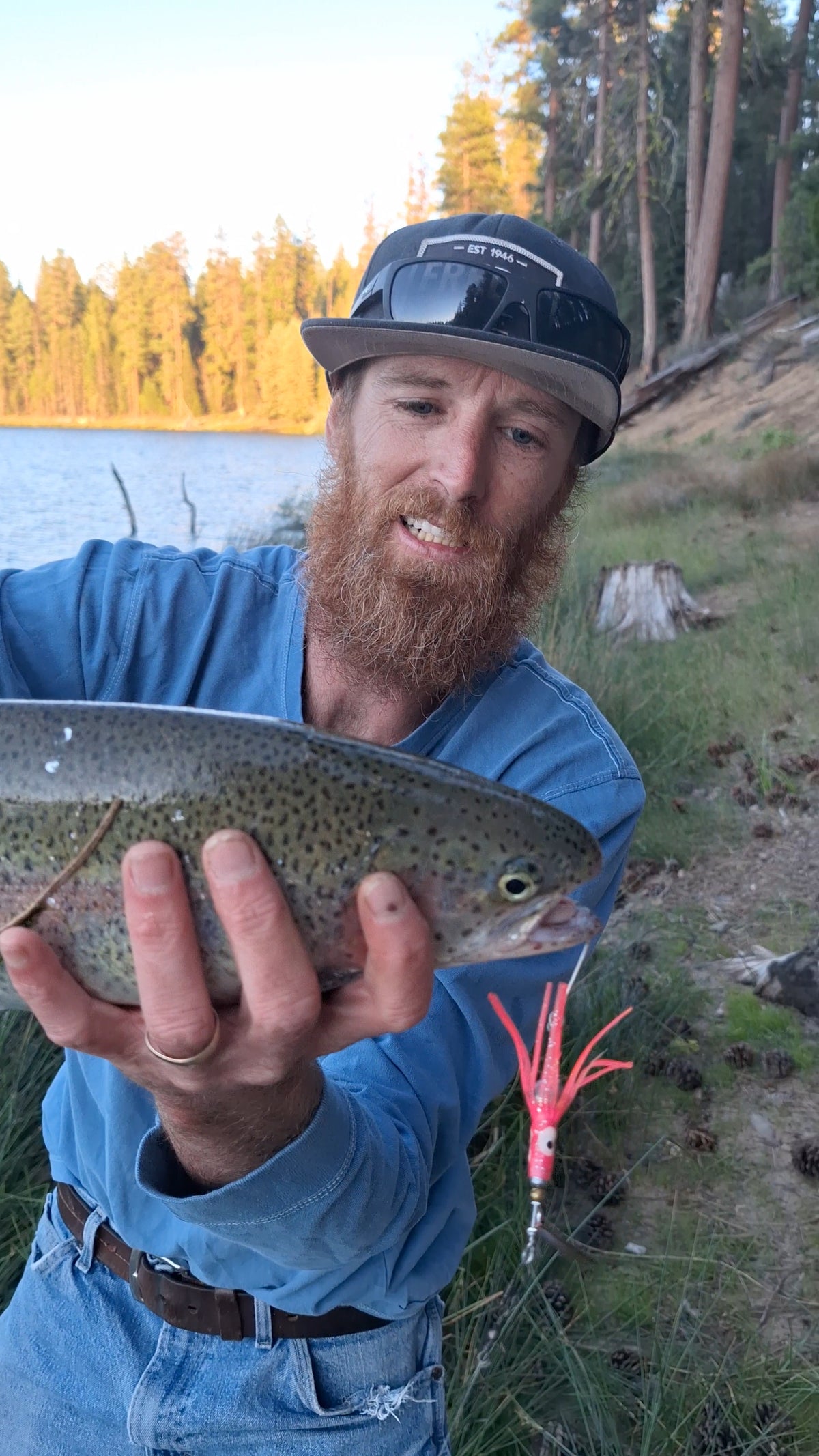 Pink Hoochie Lure