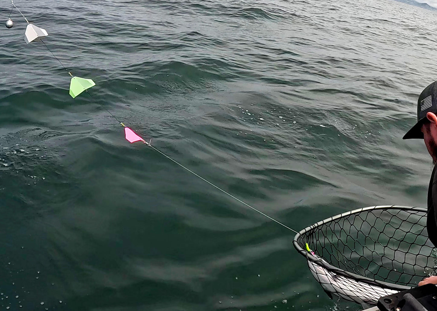 Salmon Siren Flashers
